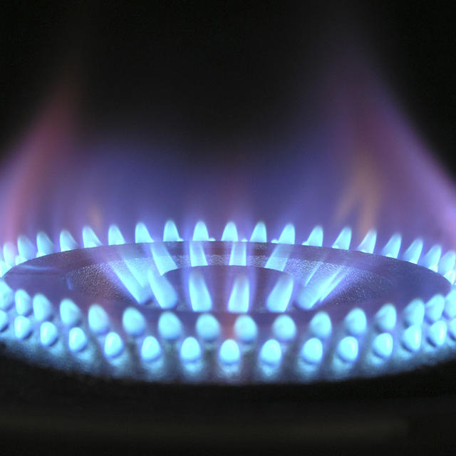 Gas Appliance Servicing